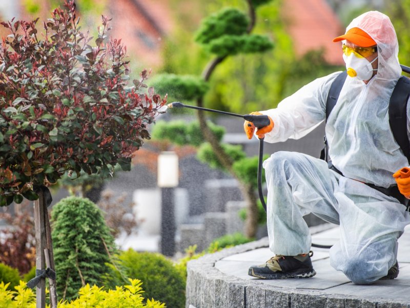 Ergene Haşere İlaçlama